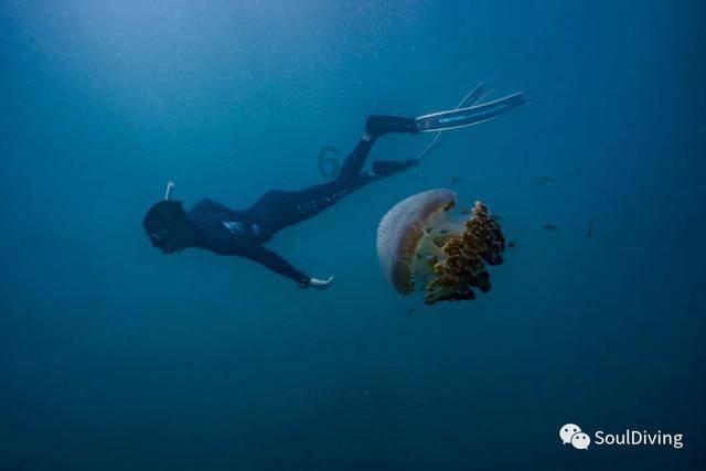 沙漠避难所